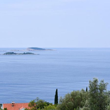 Apartment Eli - Sea View Млини Екстер'єр фото